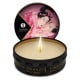 Shunga Aphrodisia Massaažiküünal Roosiõied 30ml❤️Shunga