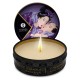 Shunga Libido Massaažiküünal Eksootilised Puuviljad 30ml❤️Shunga