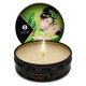 Shunga Zenitude Massaažiküünal Eksootiline Roheline Tee 30ml❤️Shunga
